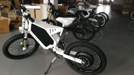 13+ Stealth Bomber E Bike